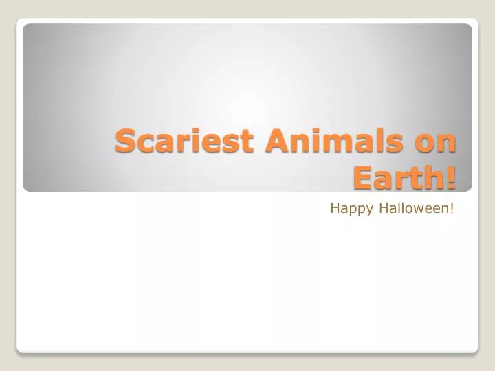 scariest animals on earth