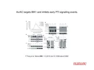 F Feng et al . Nature 000 , 1 - 5 (2012) doi:10.1038/nature10962