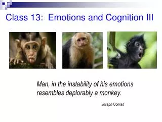Class 13: Emotions and Cognition III