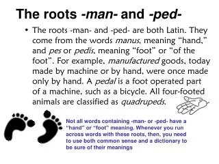 The roots -man- and -ped-