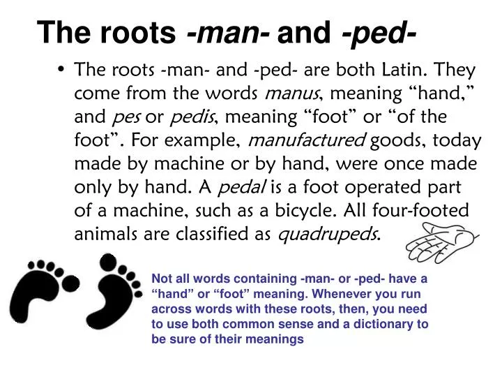 the roots man and ped