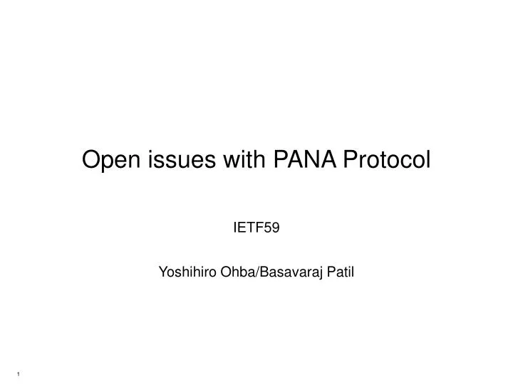 open issues with pana protocol