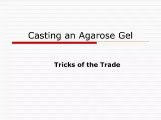Casting an Agarose Gel