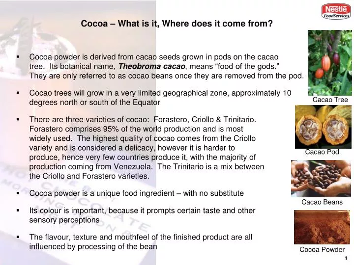 cocoa what is it where does it come from