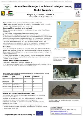 Animal health project in Sahrawi refugee camps, Tinduf (Algeria)