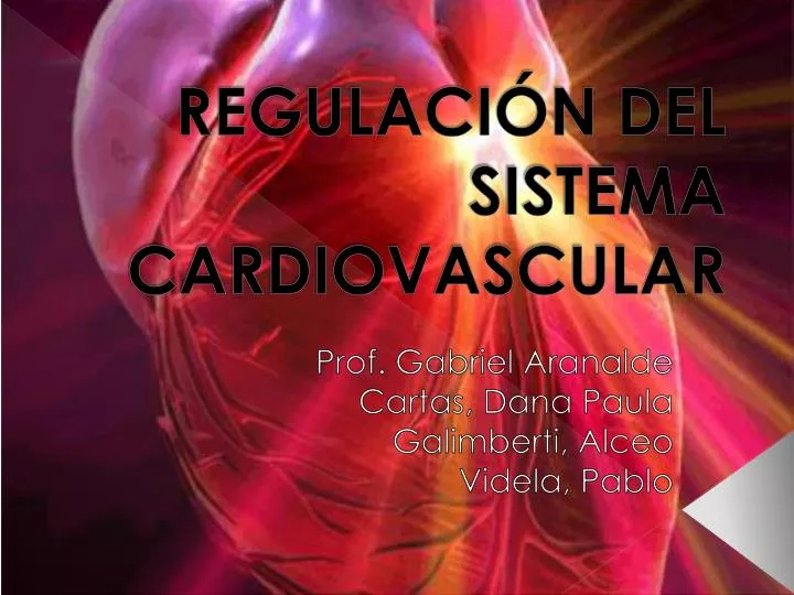 regulaci n del sistema cardiovascular