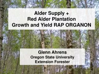 Alder Supply + Red Alder Plantation Growth and Yield RAP ORGANON