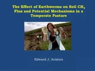 The Effect of Earthworms on Soil CH 4 Flux and Potential Mechanisms in a Temperate Pasture