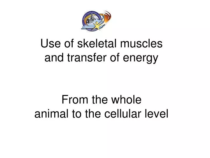 use of skeletal muscles and transfer of energy from the whole animal to the cellular level