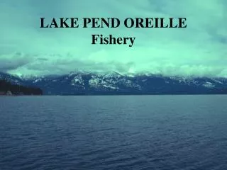 LAKE PEND OREILLE Fishery