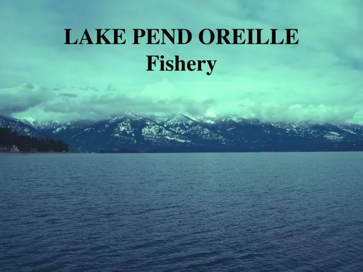 lake pend oreille fishery