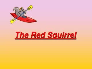 The Red Squirrel