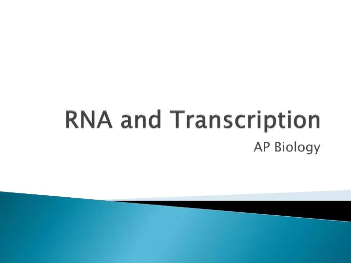 rna and transcription