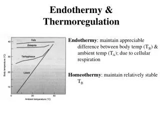 endothermy thermoregulation