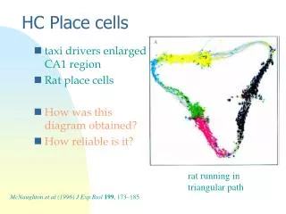 hc place cells