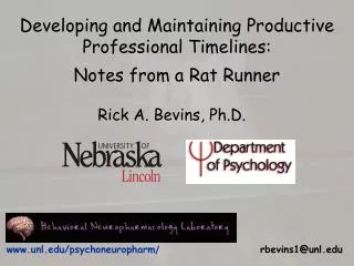 developing and maintaining productive professional timelines notes from a rat runner