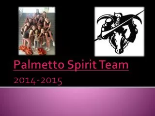 Palmetto Spirit Team 2014-2015
