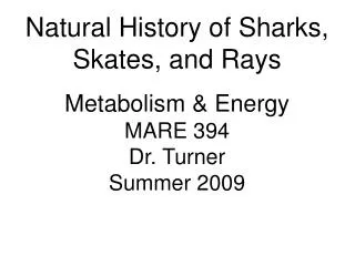 Natural History of Sharks, Skates, and Rays Metabolism &amp; Energy MARE 394 Dr. Turner Summer 2009