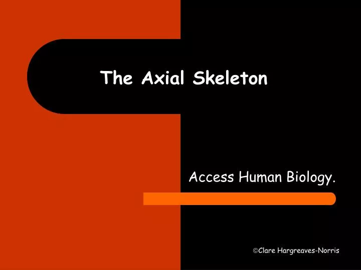 Ppt The Axial Skeleton Powerpoint Presentation Free Download Id6113697 3854