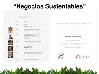 negocios sustentables