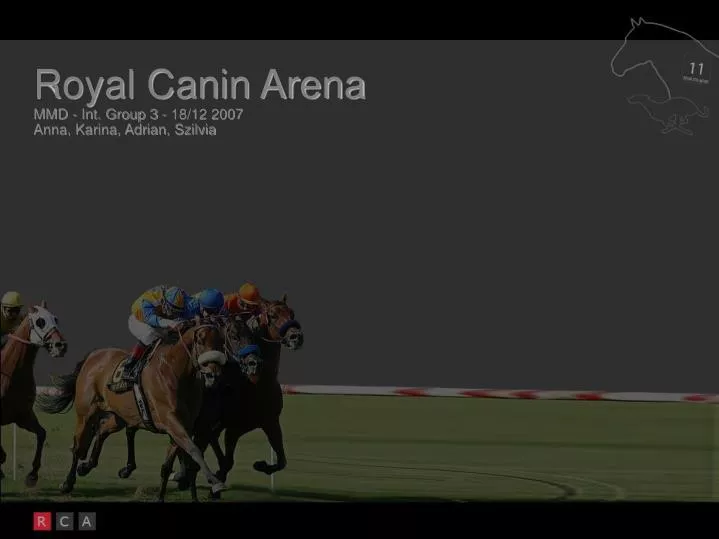 royal canin arena mmd int group 3 18 12 2007 anna karina adrian szilvia