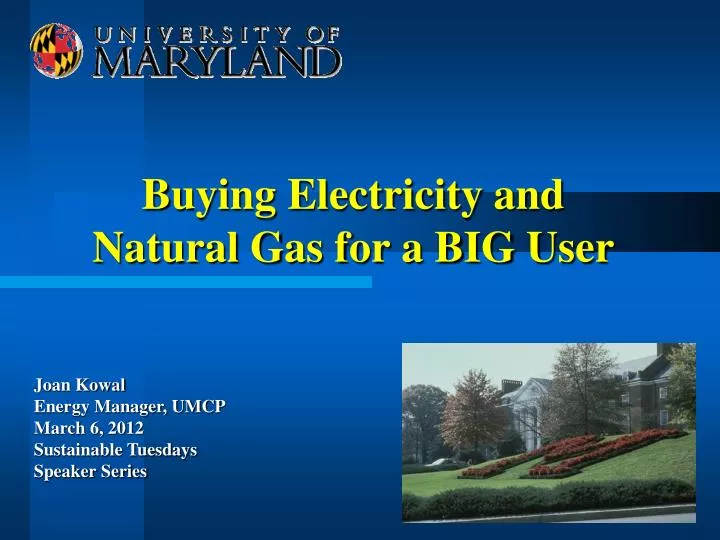 buying electricity and natural gas for a big user