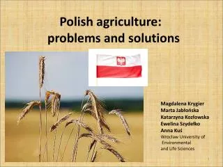Polish agriculture : problems and solutions