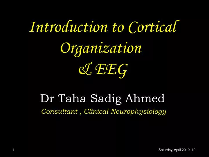 introduction to cortical organization eeg
