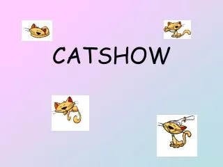 CATSHOW