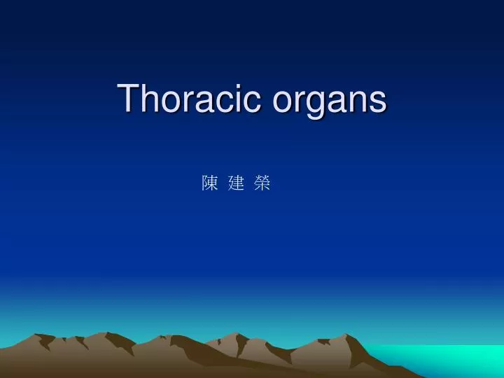 thoracic organs