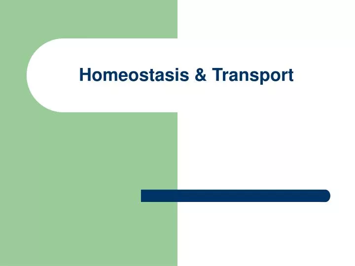 homeostasis transport