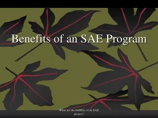 Benefits of an SAE Program