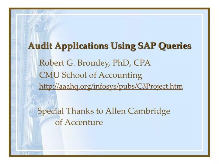 audit applications using sap queries
