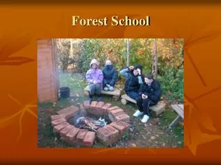 forest school