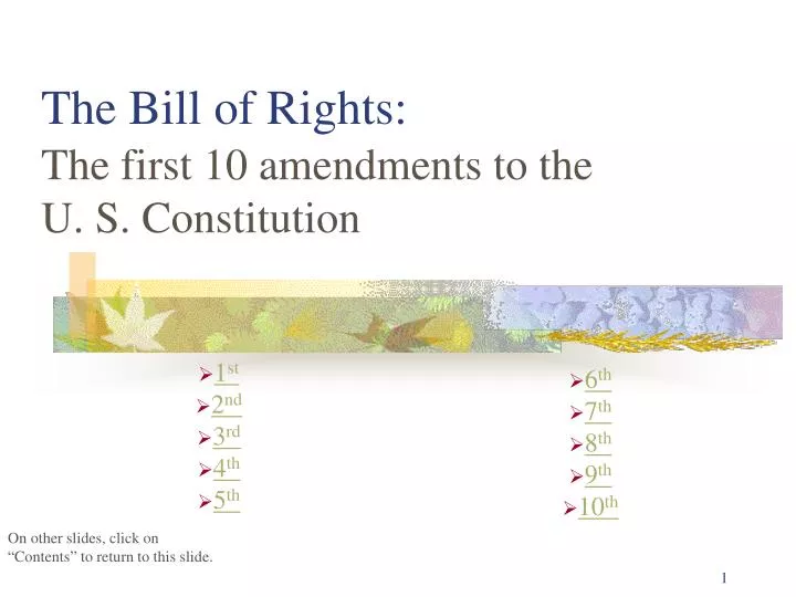 the bill of rights