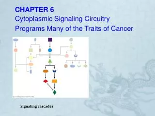 CHAPTER 6 Cytoplasmic Signaling Circuitry Programs Many of the Traits of Cancer