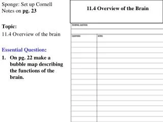 Sponge: Set up Cornell Notes on pg. 23 Topic: 11.4 Overview of the brain Essential Question :