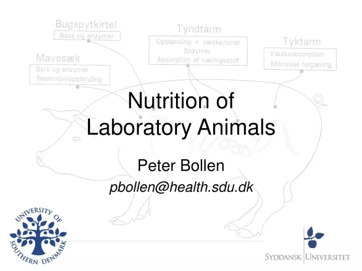nutrition of laboratory animals