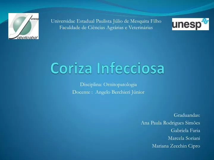 coriza infecciosa