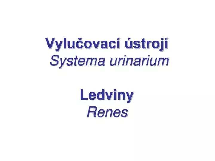 vylu ovac stroj systema urinarium ledviny renes