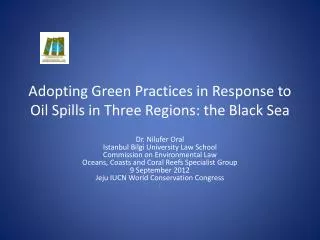 Adopting Green Practices in Response to Oil Spills in Three Regions: the Black Sea