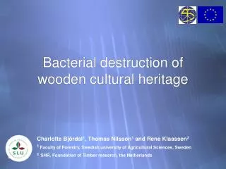 Bacterial destruction of wooden cultural heritage