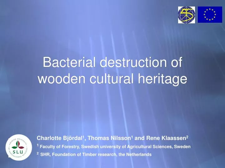 bacterial destruction of wooden cultural heritage