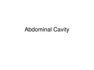 Abdominal Cavity