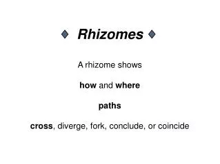 Rhizomes