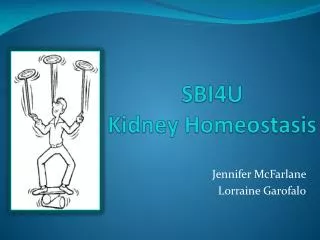 S BI4U Kidney Homeostasis