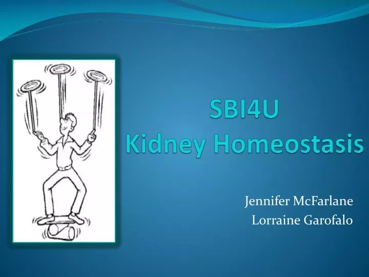 s bi4u kidney homeostasis