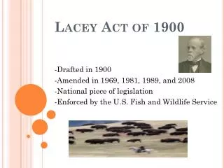 Lacey Act of 1900