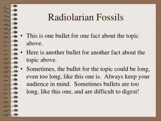 Radiolarian Fossils