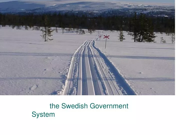 the swedish government system